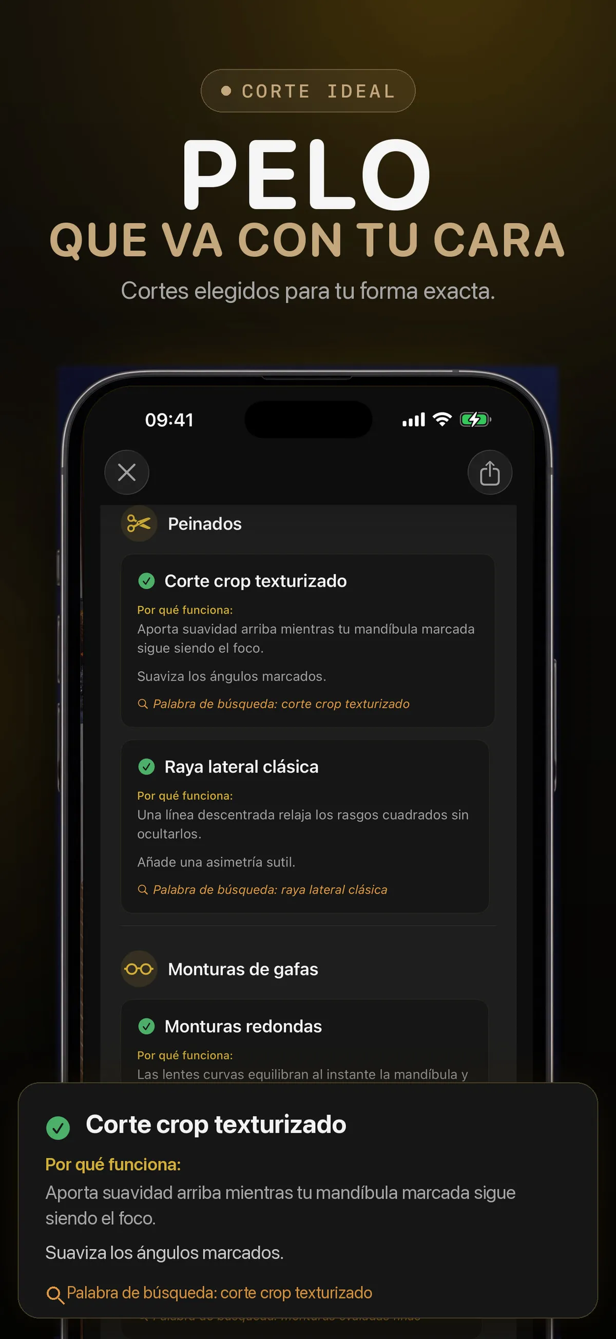 Pantalla de FaceForm con recomendaciones de peinados