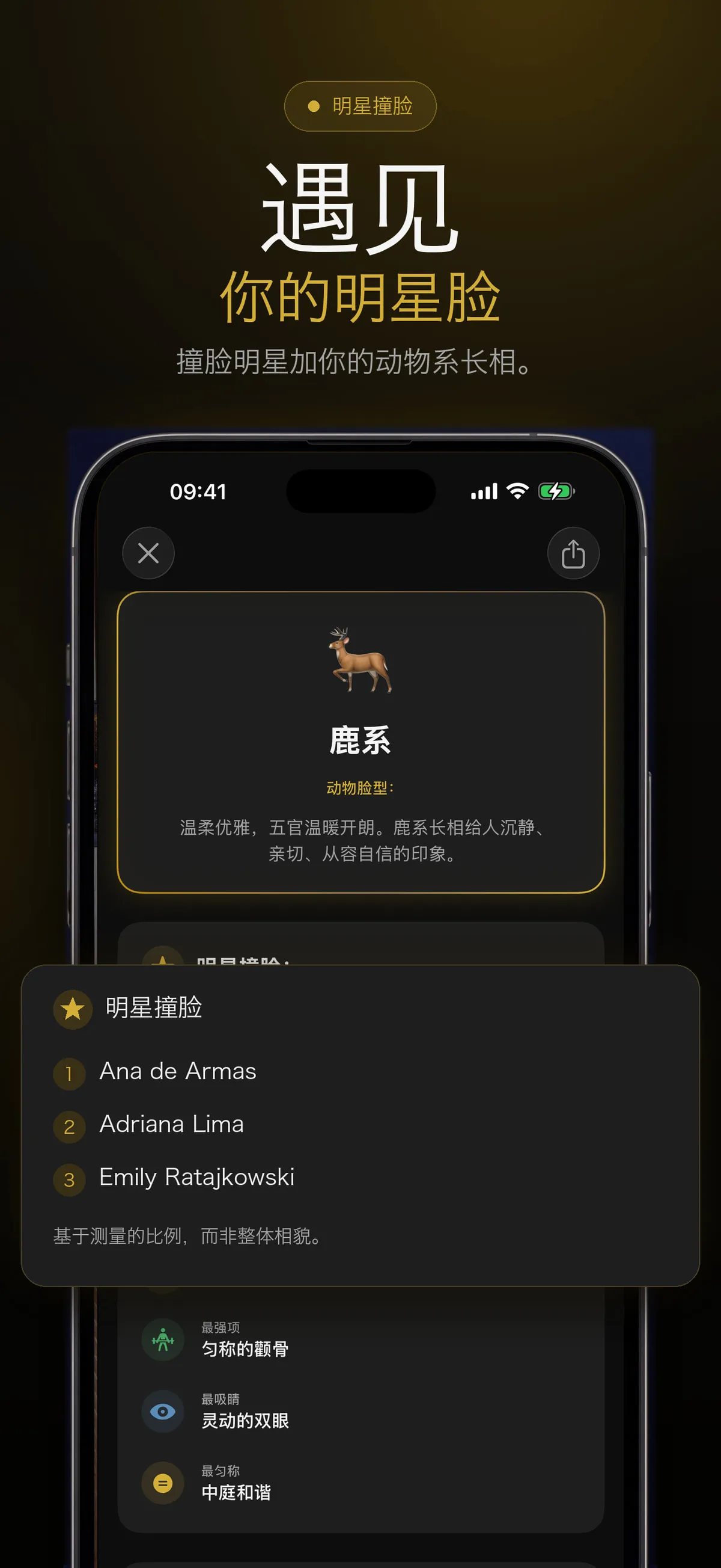 显示名人相似度匹配的 FaceForm 界面