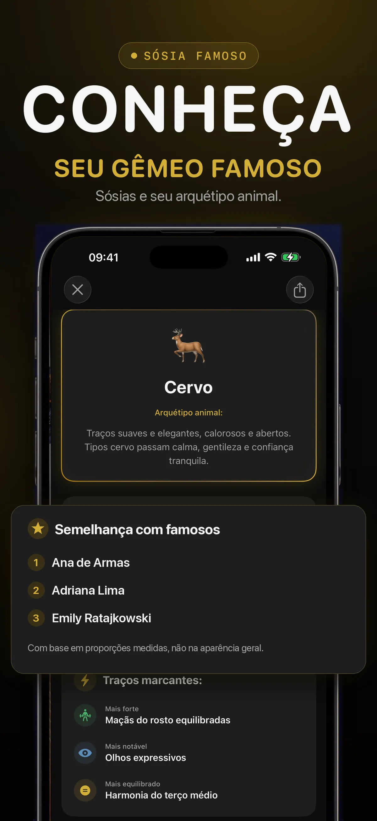 Tela do FaceForm com combinações de semelhança com celebridades
